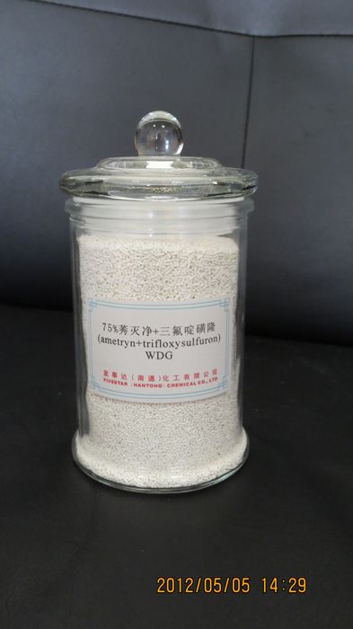 75% ametryn+trifloxysulfuron  WDG